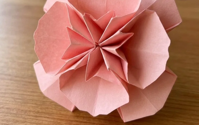 Origami Carnation: Step-by-Step Instructions